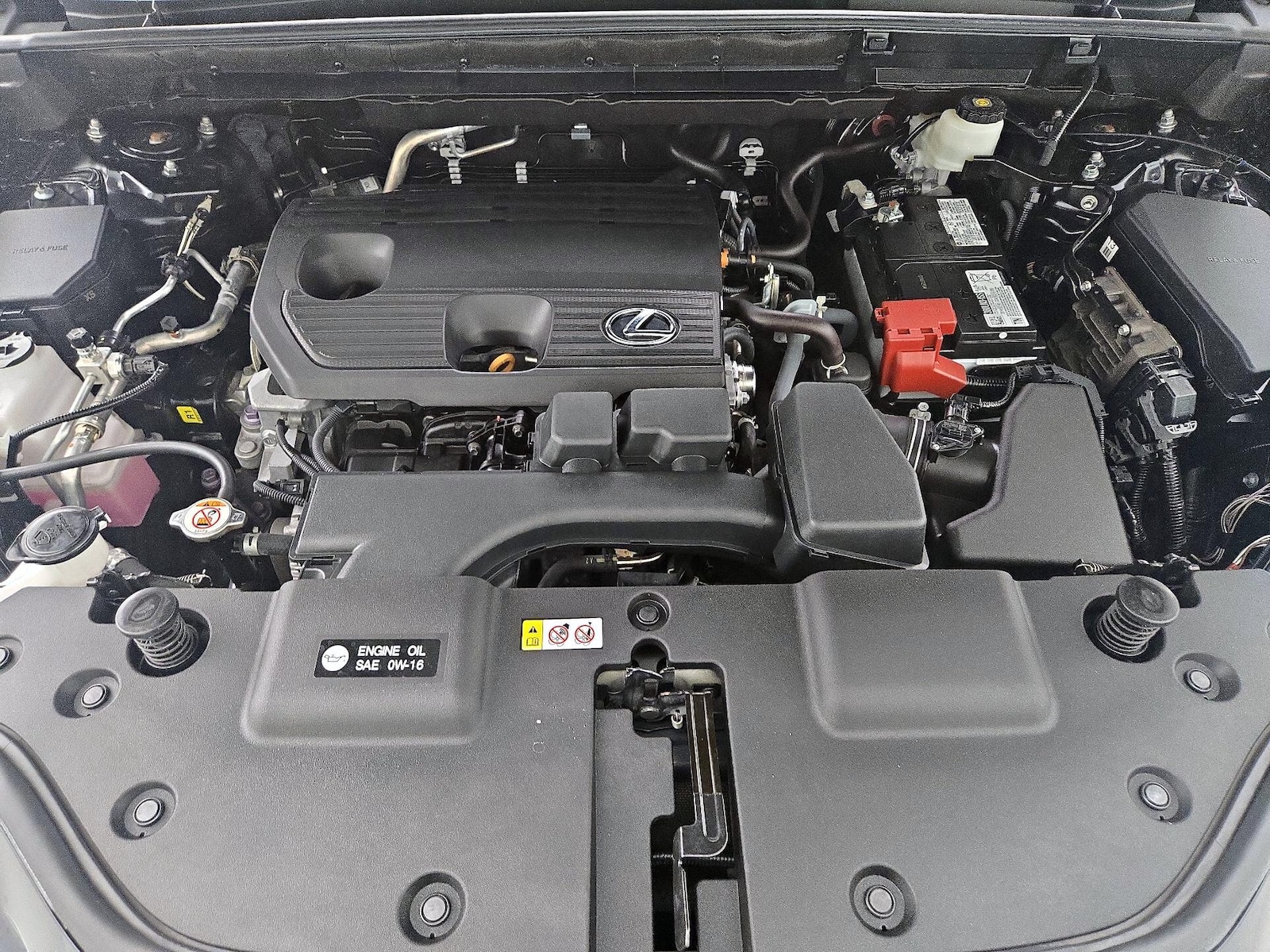 2024 Lexus NX 250 - Photo 23