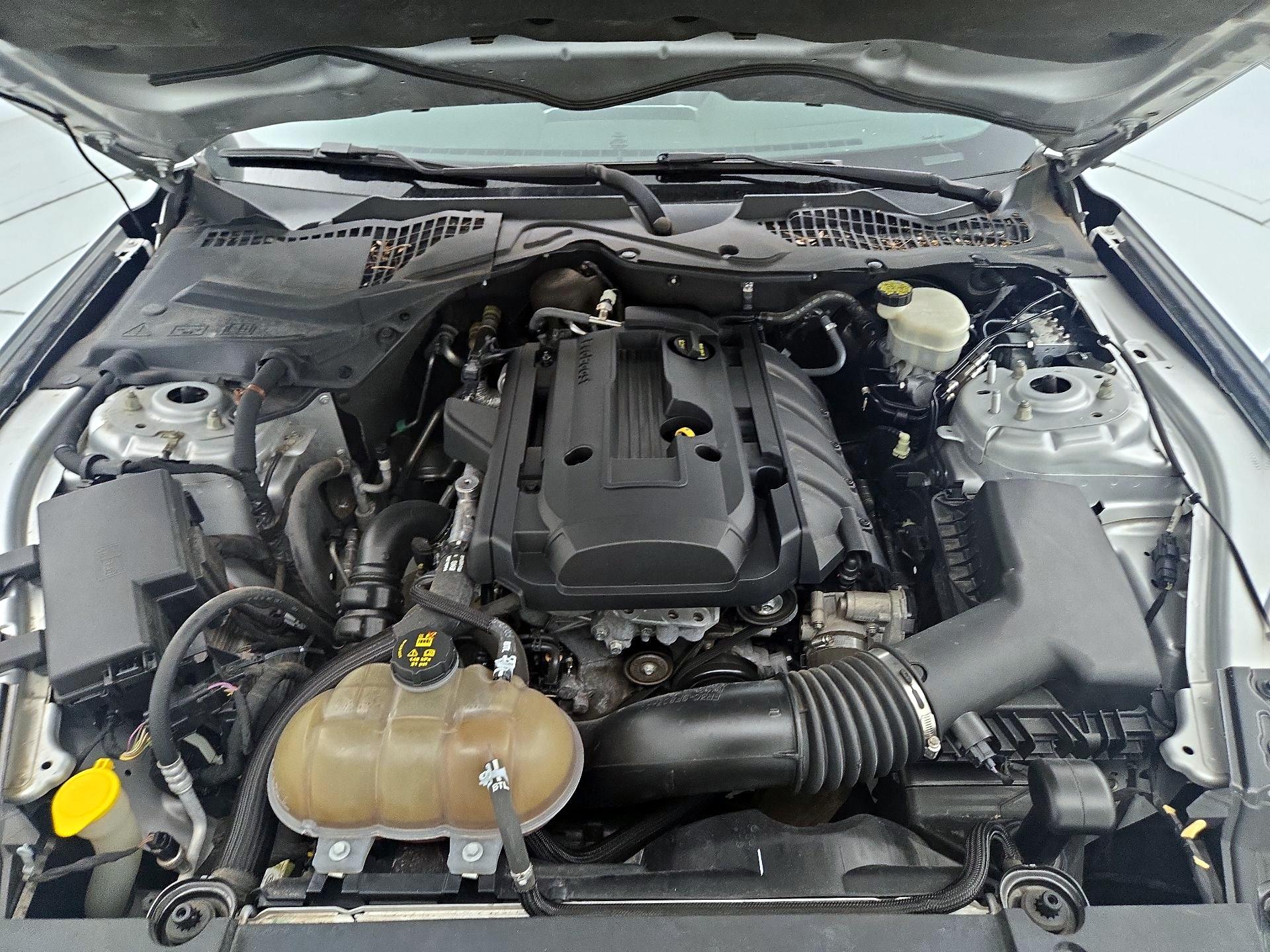 Thumbnail: 2015 Ford Mustang - 19