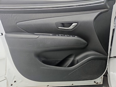 Driver Door Panel