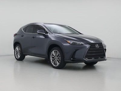 2025 Lexus NX 350h Premium