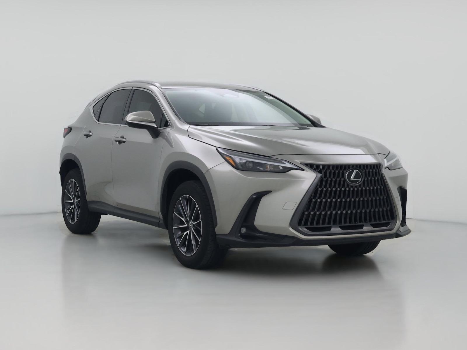 2024 Lexus NX