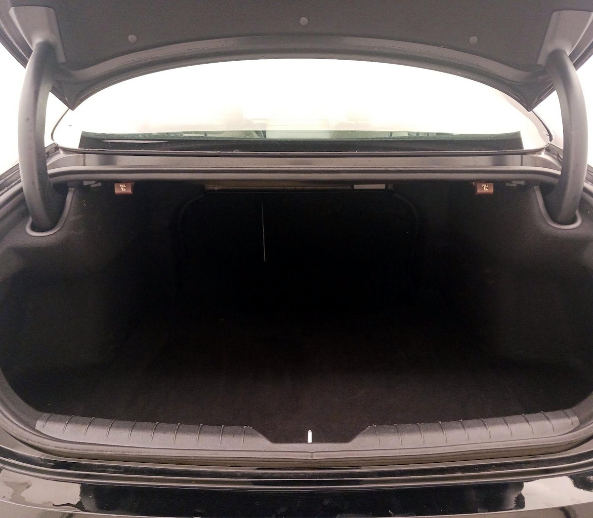 Trunk/Cargo (Seats Up)