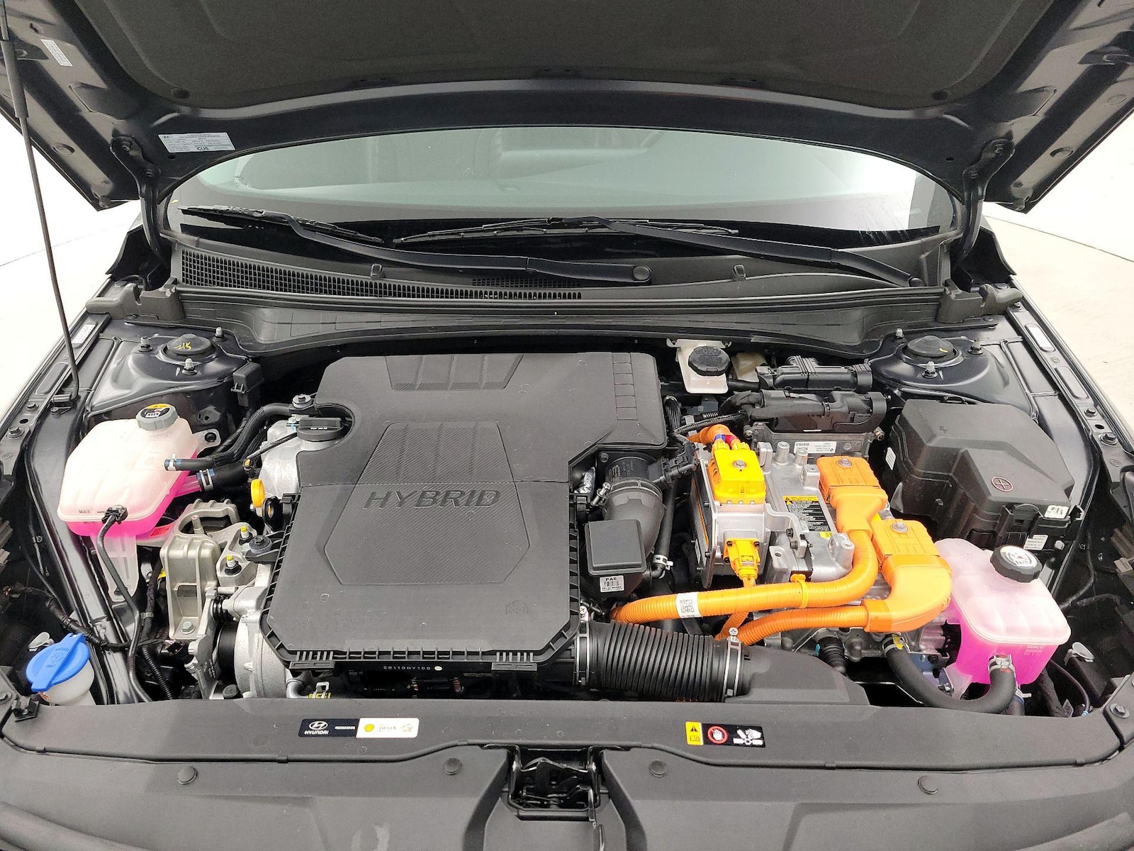 2023 Hyundai Elantra Limited - Photo 23