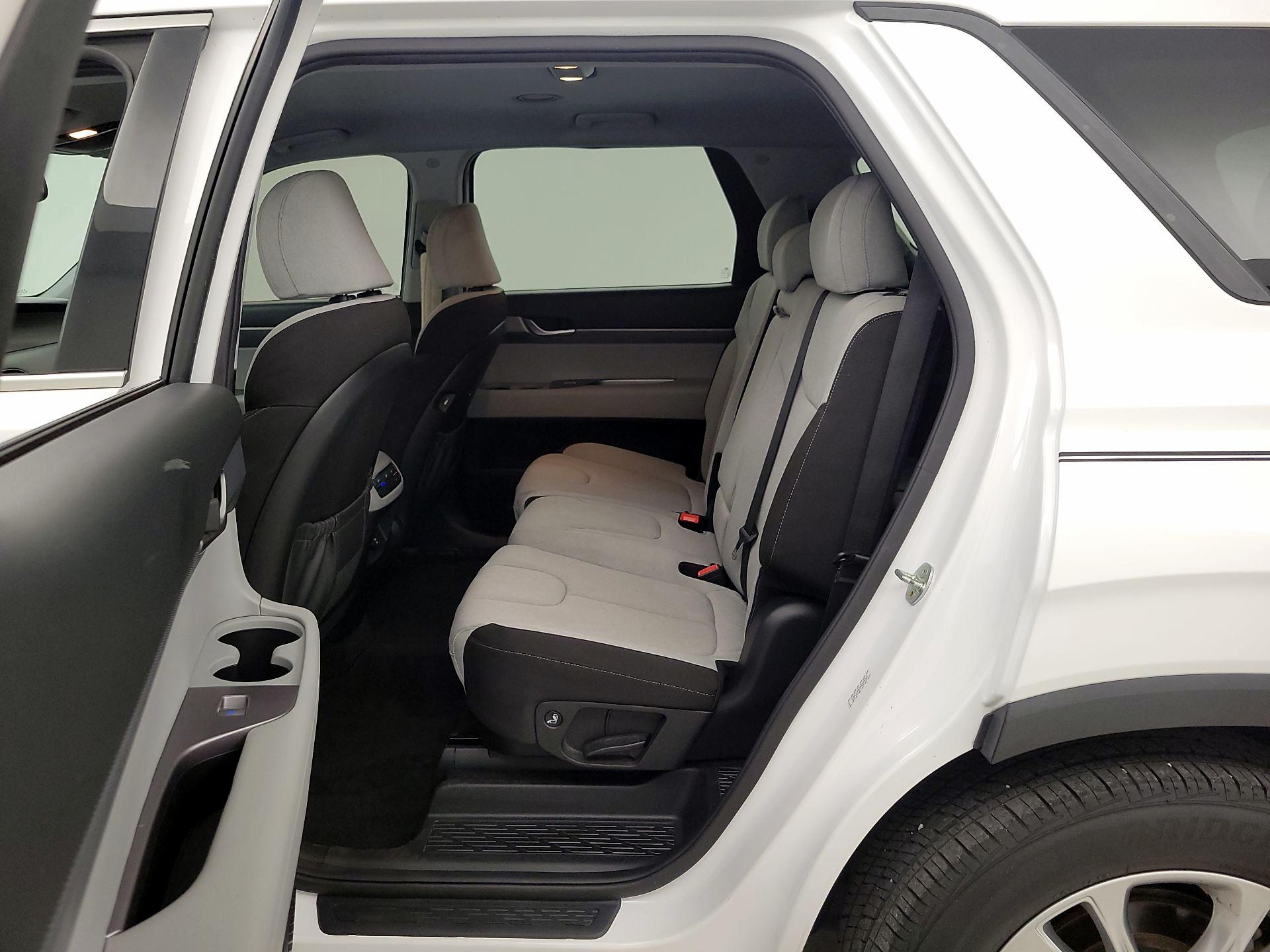 Thumbnail: 2021 Hyundai Palisade - 19