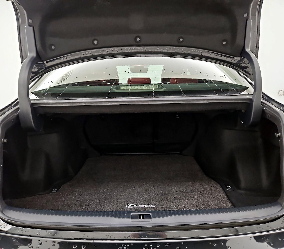 Trunk/Cargo (Seats Up)