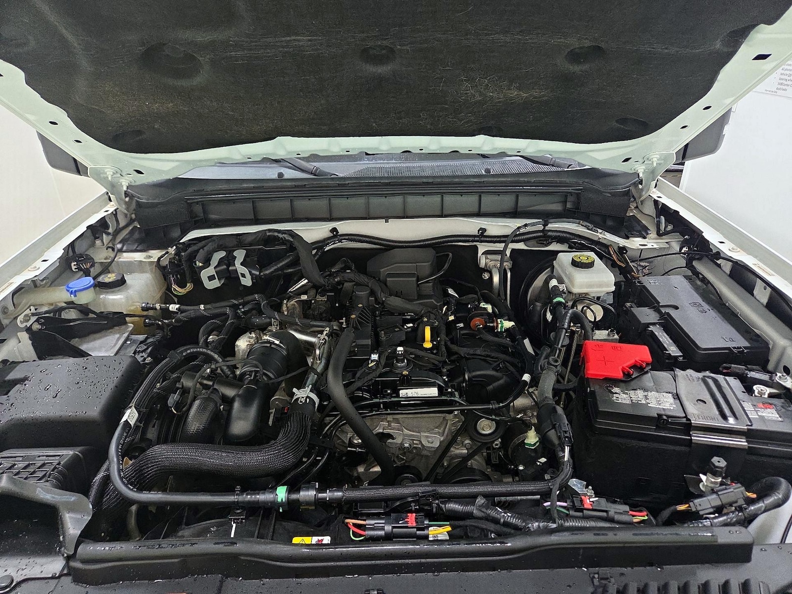 Photo 23