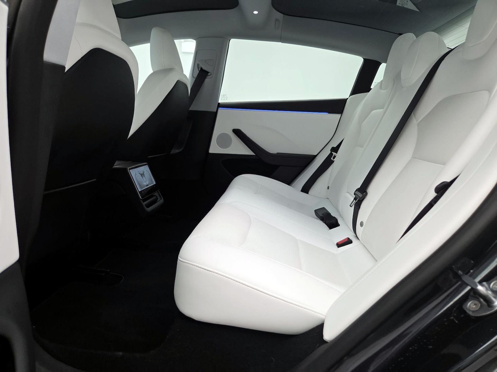 2025 Tesla Model 3 Long Range - Photo 19