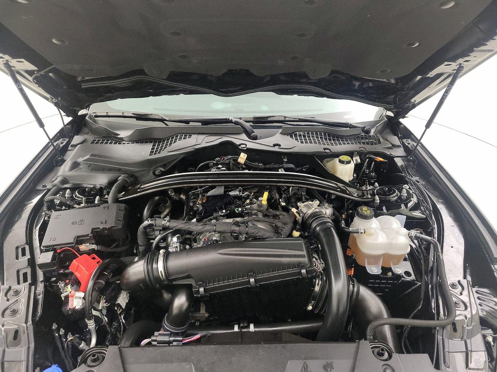 2025 Ford Mustang EcoBoost Premium - Photo 22