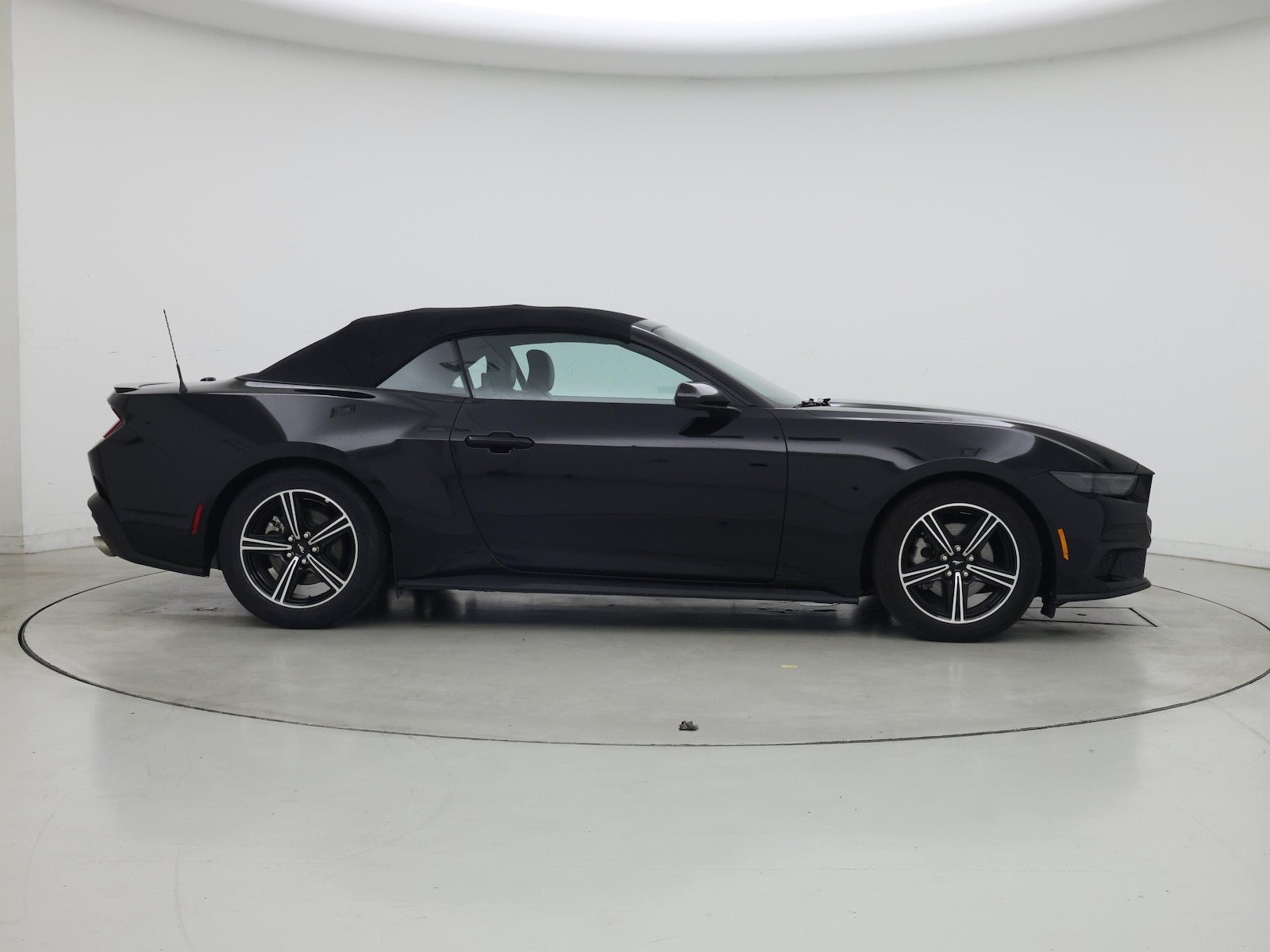 2025 Ford Mustang EcoBoost Premium - Photo 8