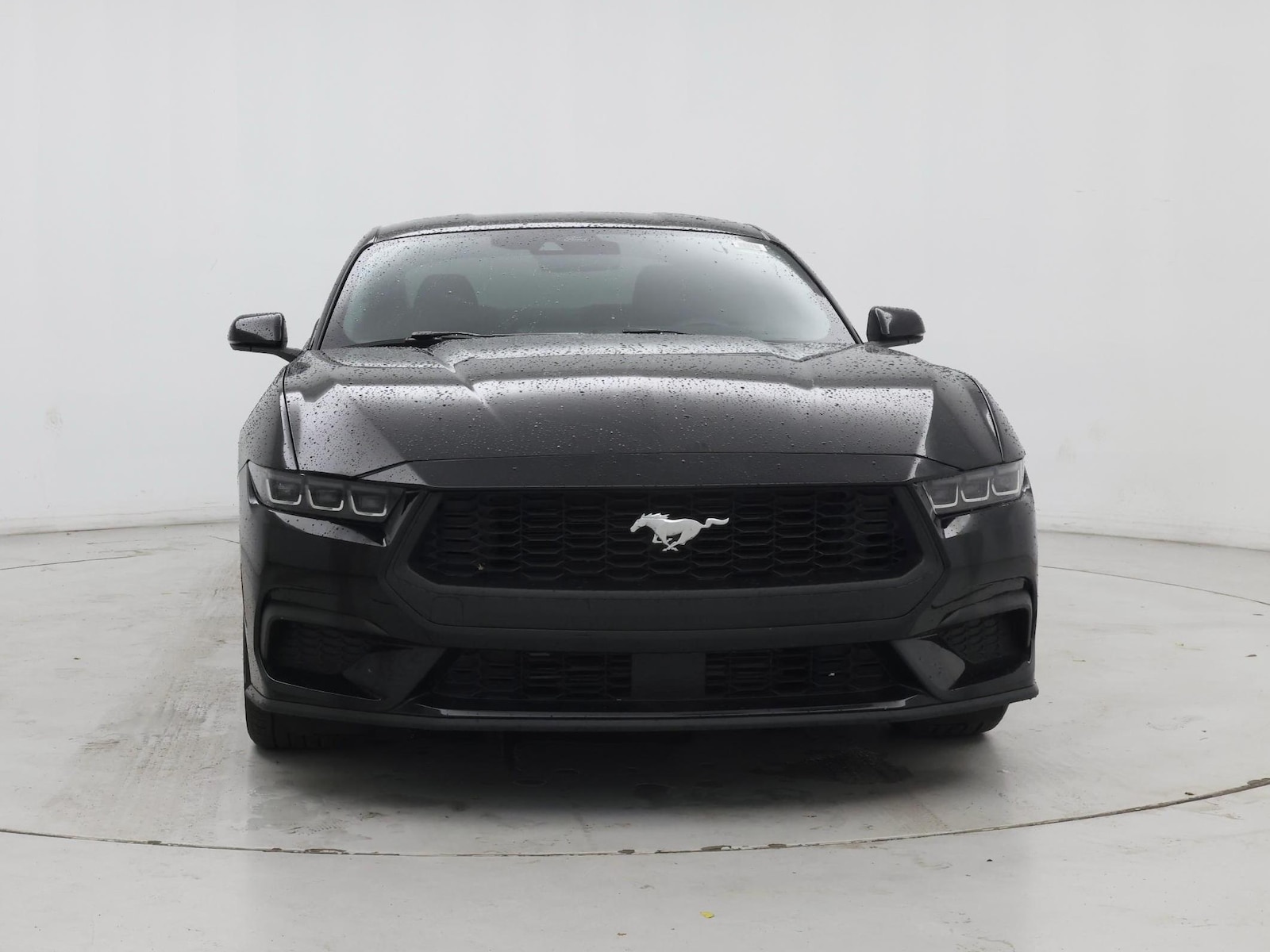 2024 Ford Mustang EcoBoost Premium - Photo 6