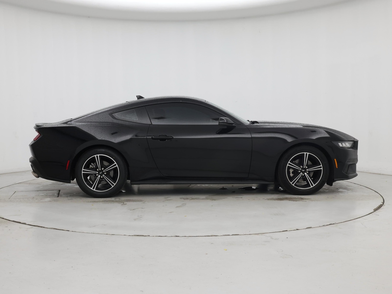 2024 Ford Mustang EcoBoost Premium - Photo 8