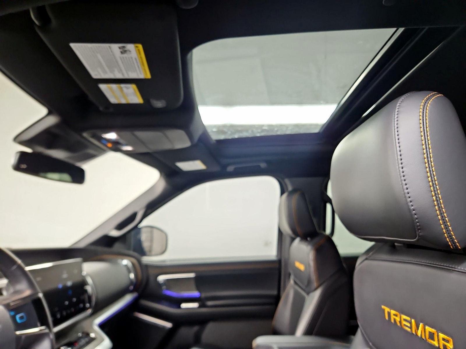 Overhead Airbags