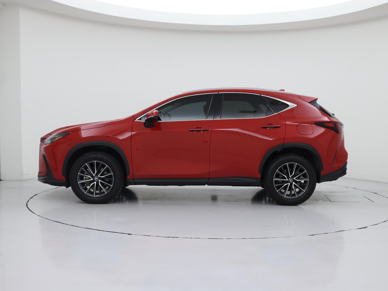 2025 Lexus NX 250 - Photo 4