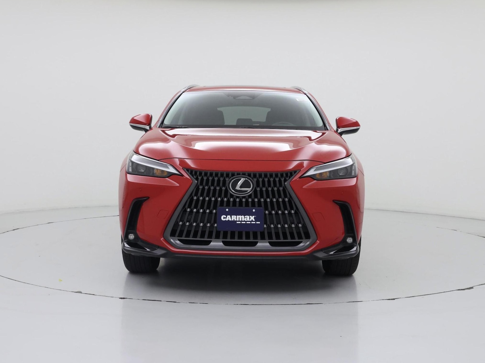 2025 Lexus NX 250 - Photo 6
