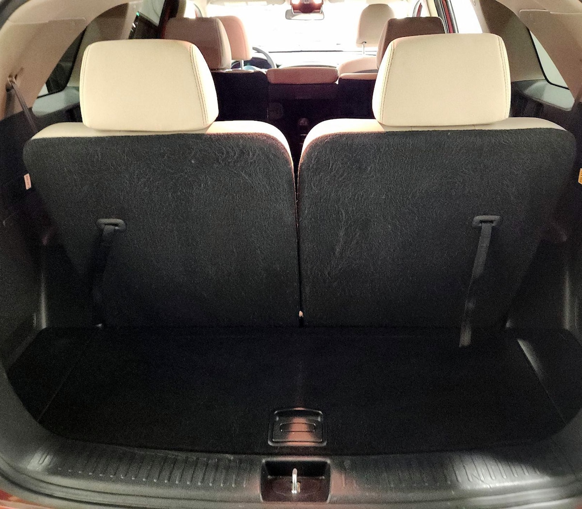 Trunk/Cargo (Seats Up)