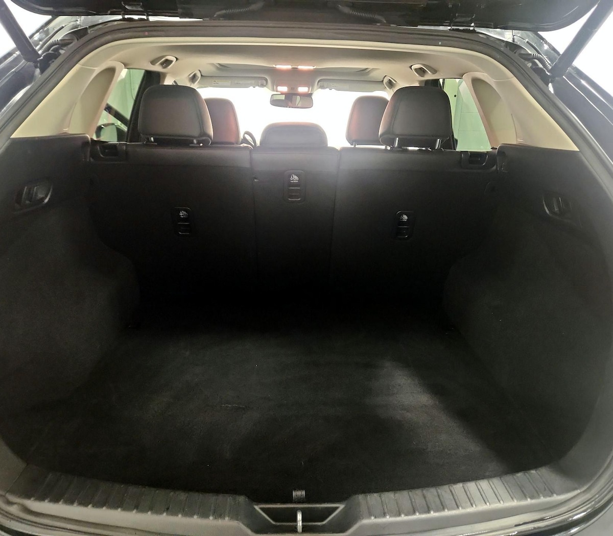 Trunk/Cargo (Seats Up)