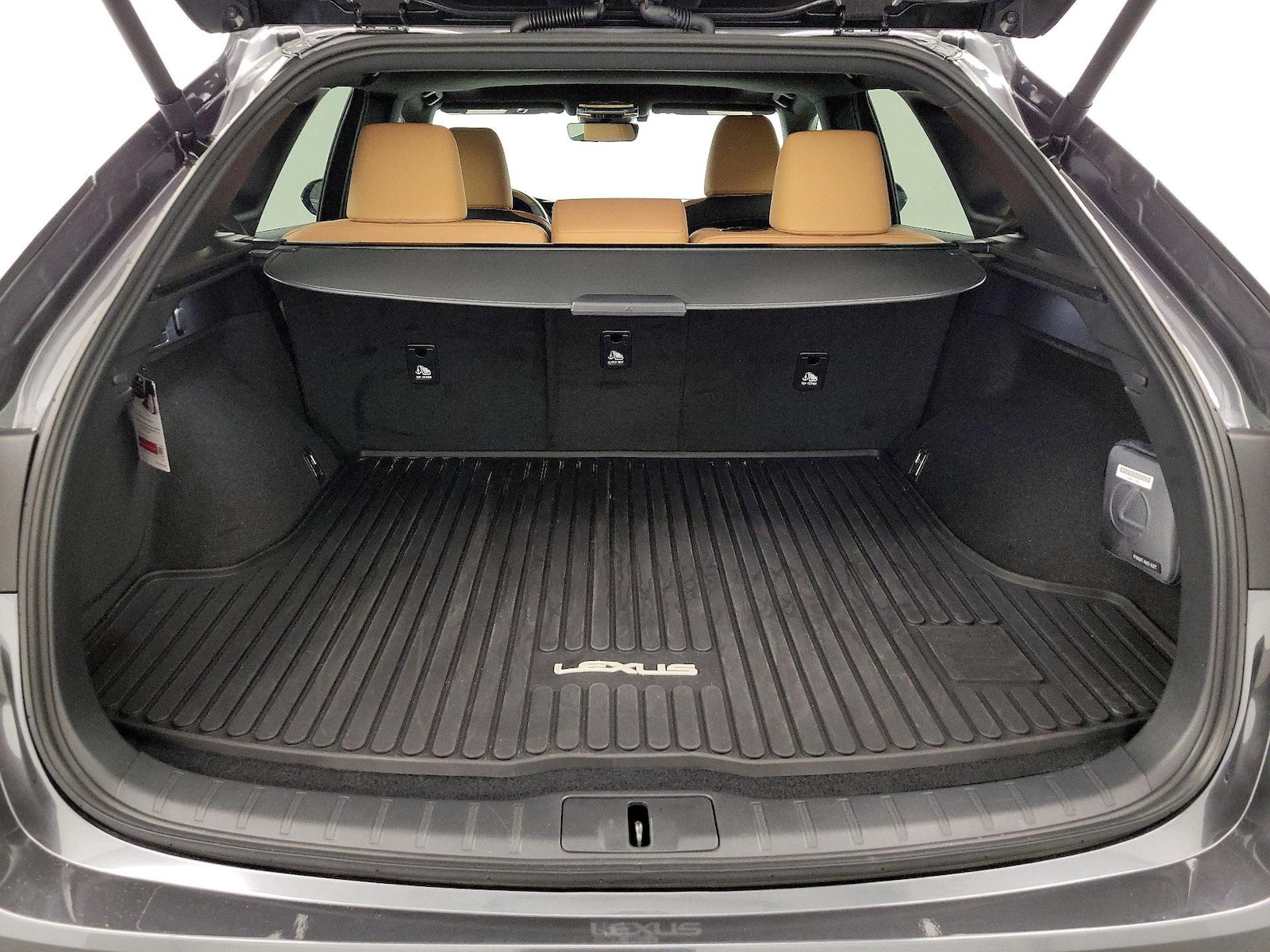 2025 Lexus RX Hybrid 350h - Photo 20
