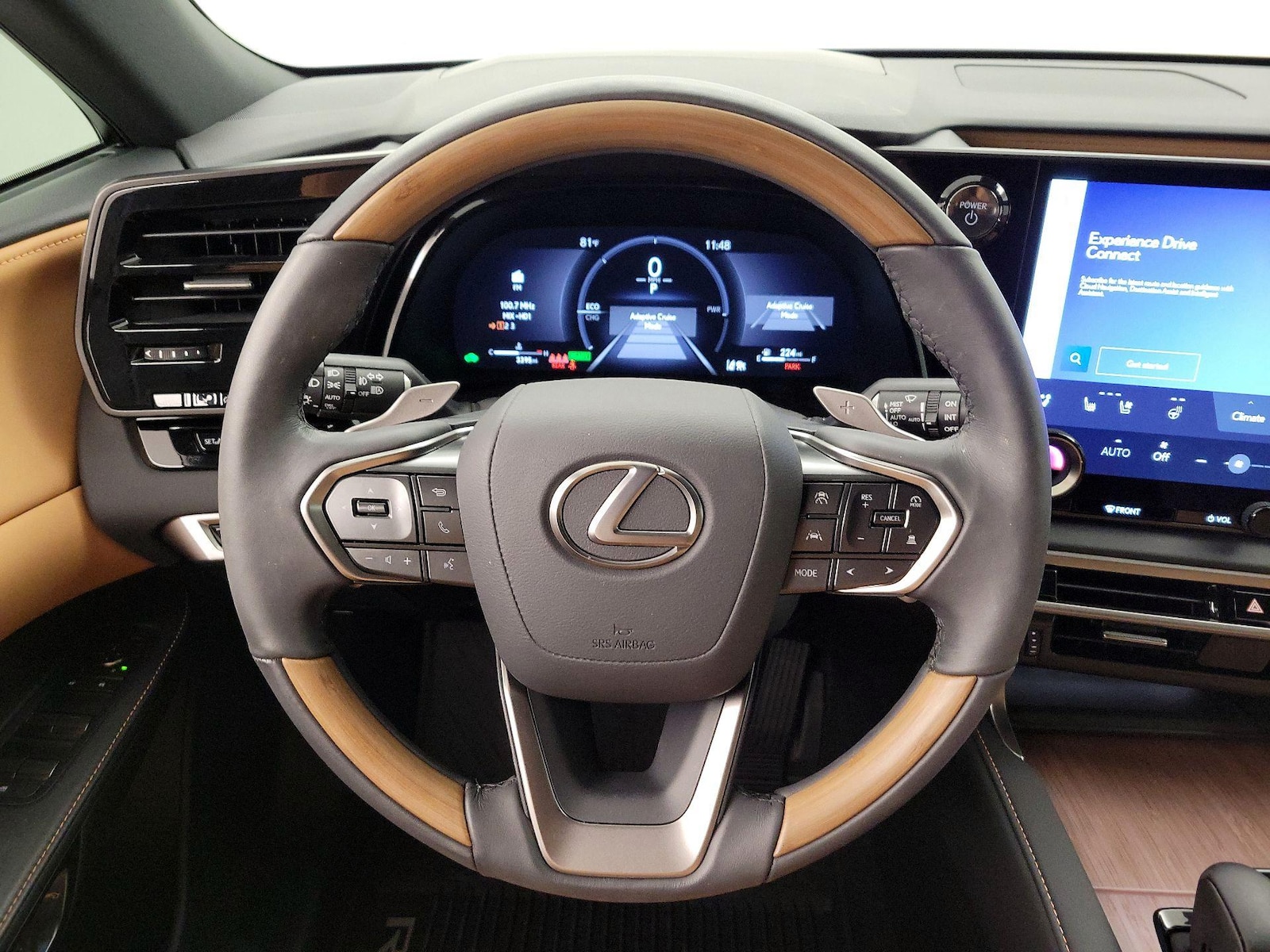 2025 Lexus RX Hybrid 350h - Photo 9