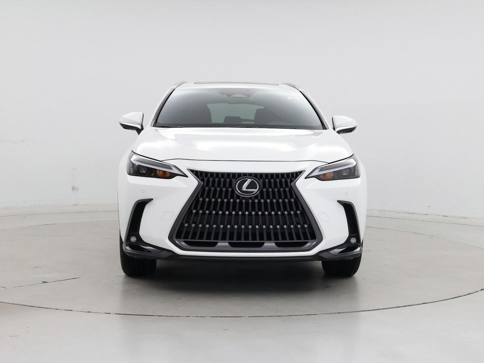 2026 Lexus NX 350 - Photo 6