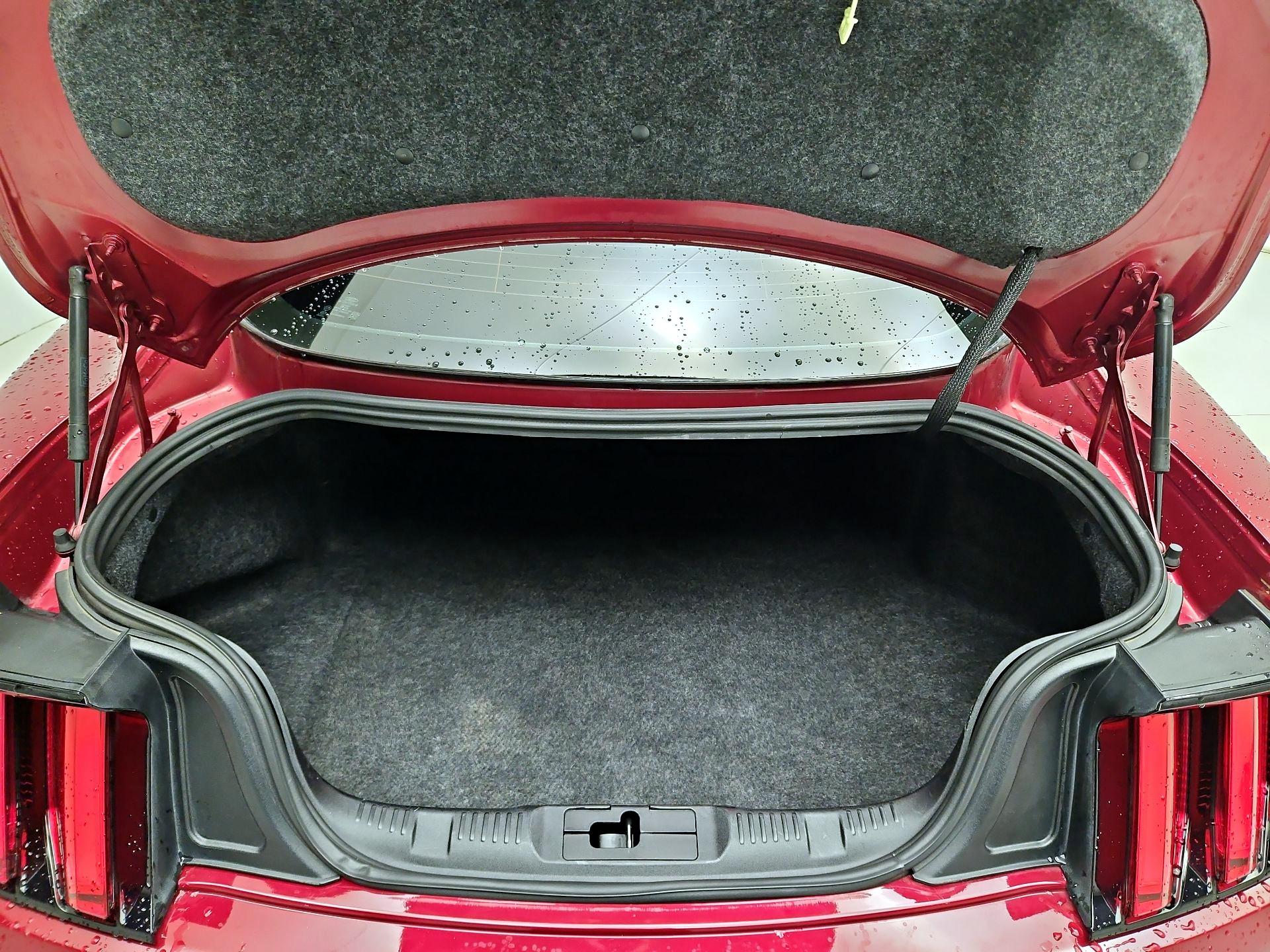 Thumbnail: 2016 Ford Mustang - 17