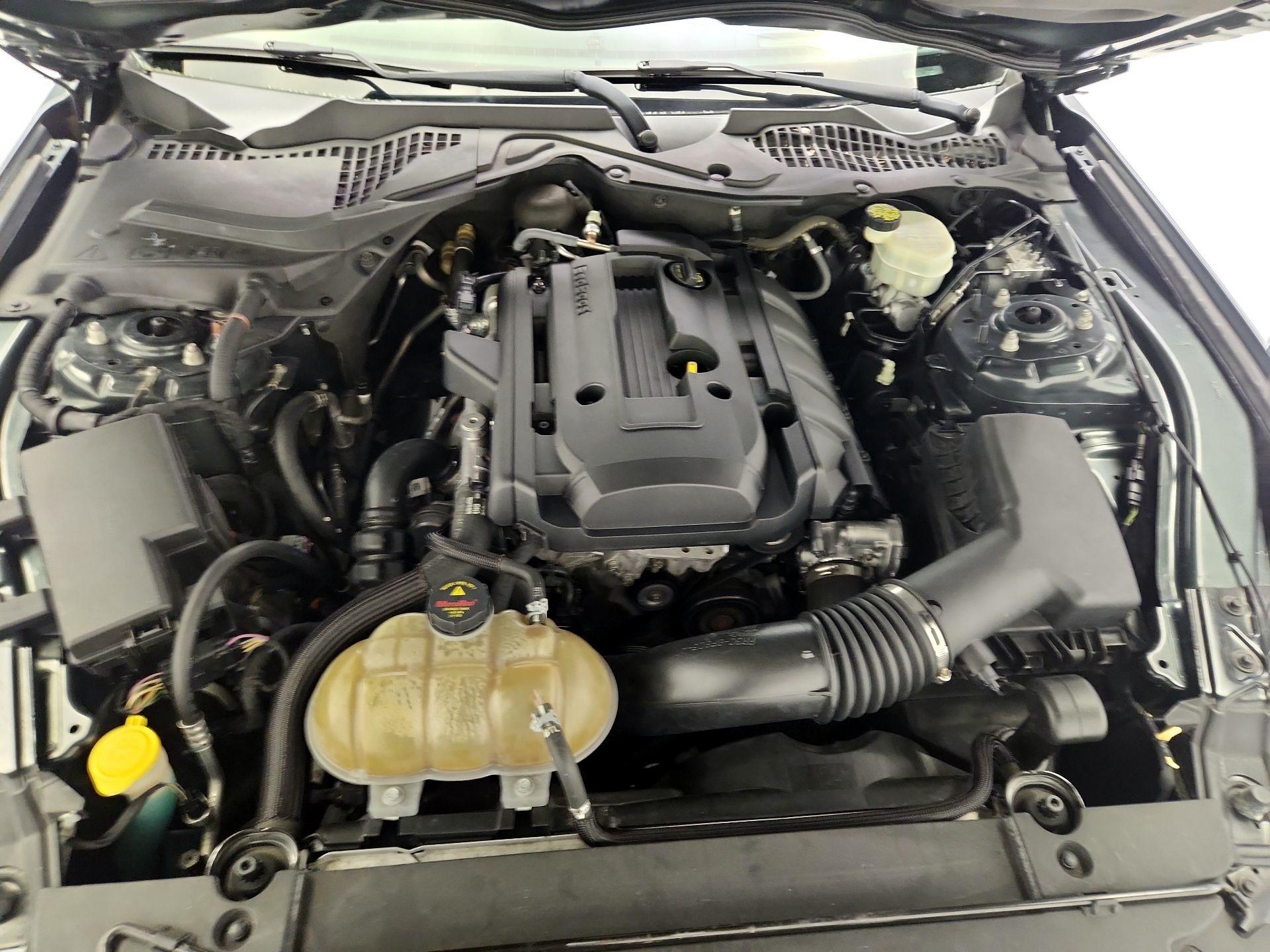 Thumbnail: 2015 Ford Mustang - 20