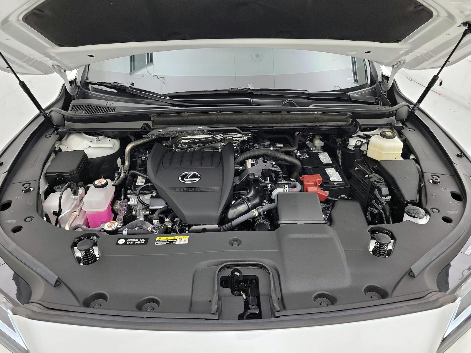 2025 Lexus RX 350 - Photo 21