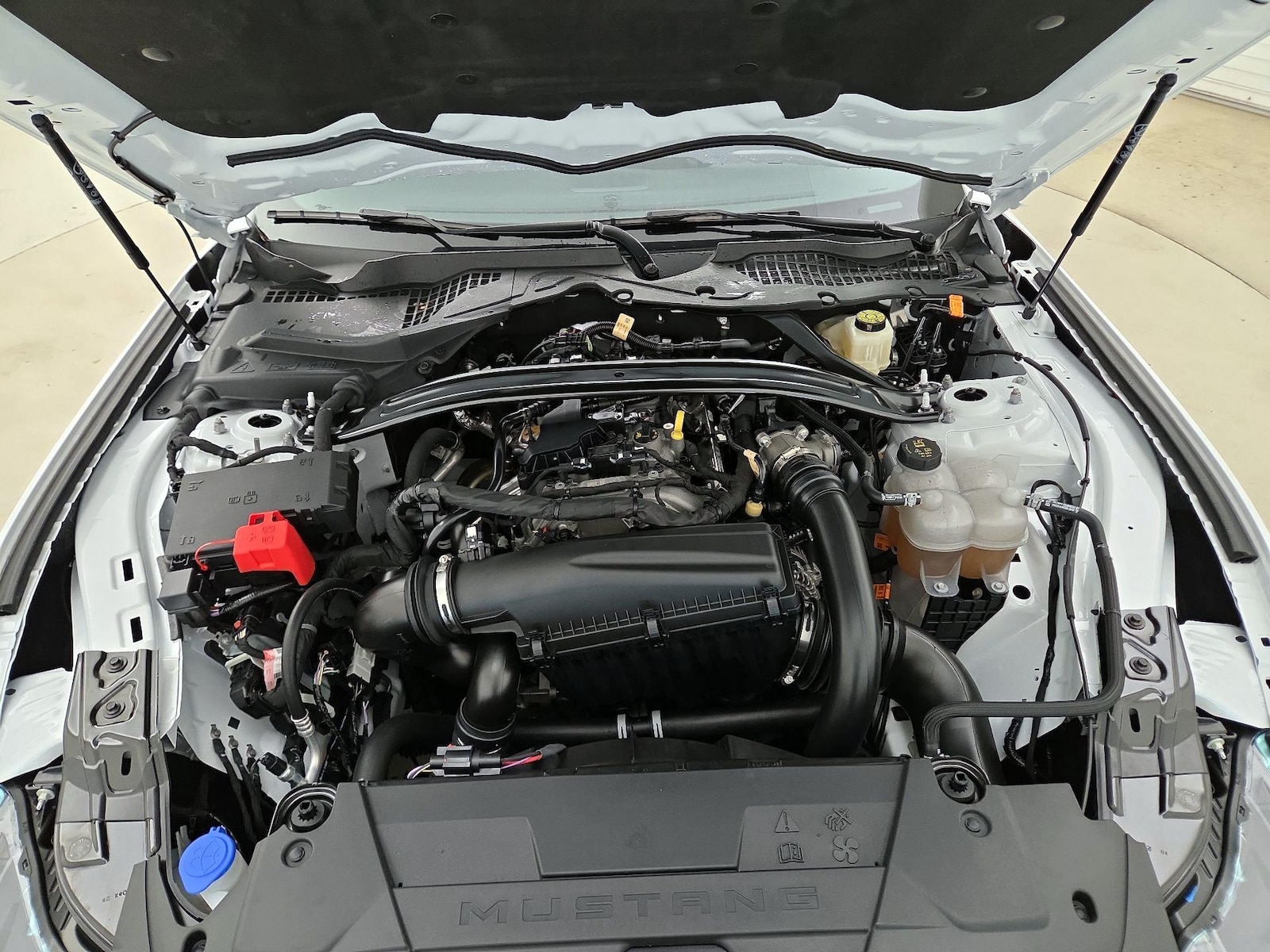 2025 Ford Mustang EcoBoost - Photo 22