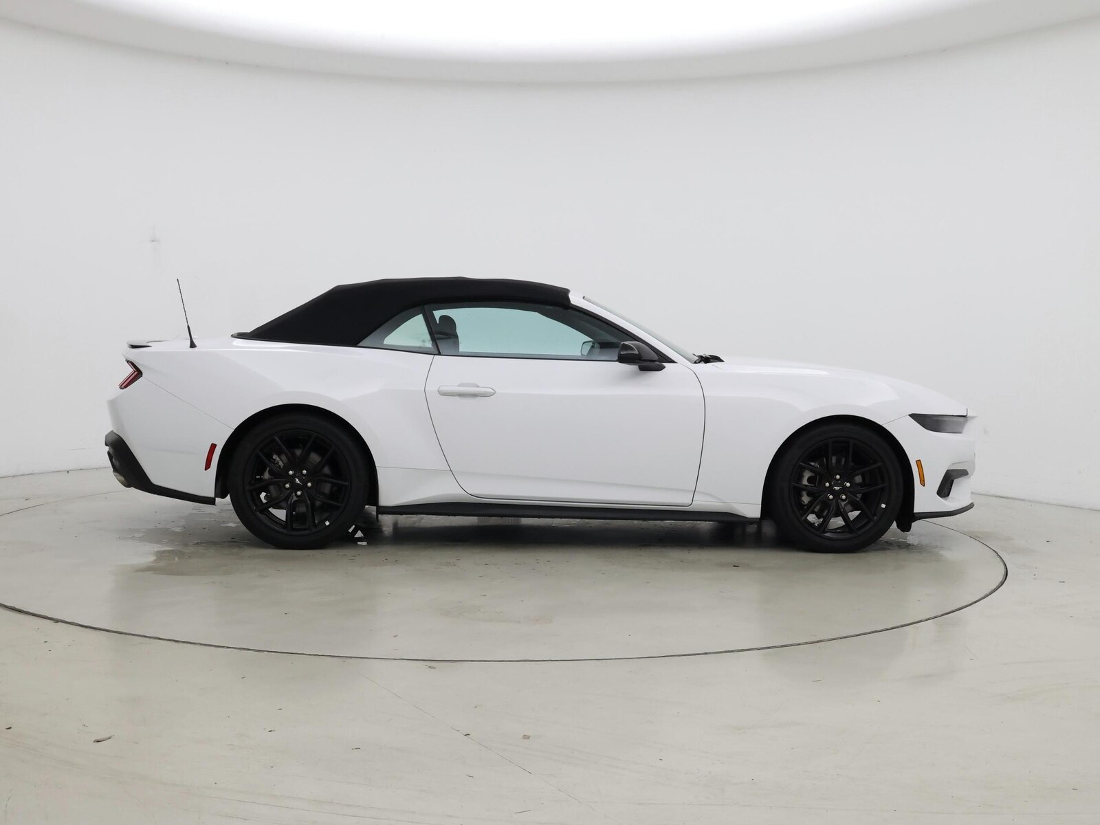 2025 Ford Mustang EcoBoost - Photo 8