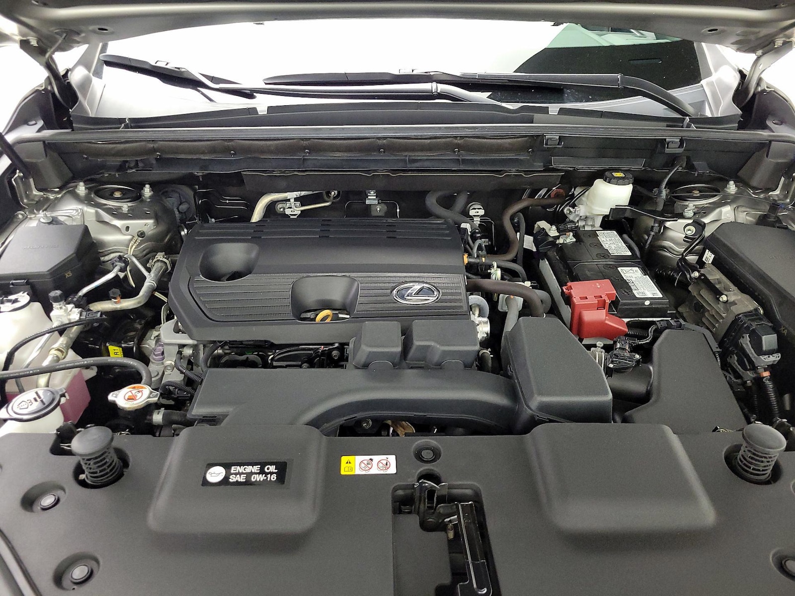2024 Lexus NX 250 - Photo 25