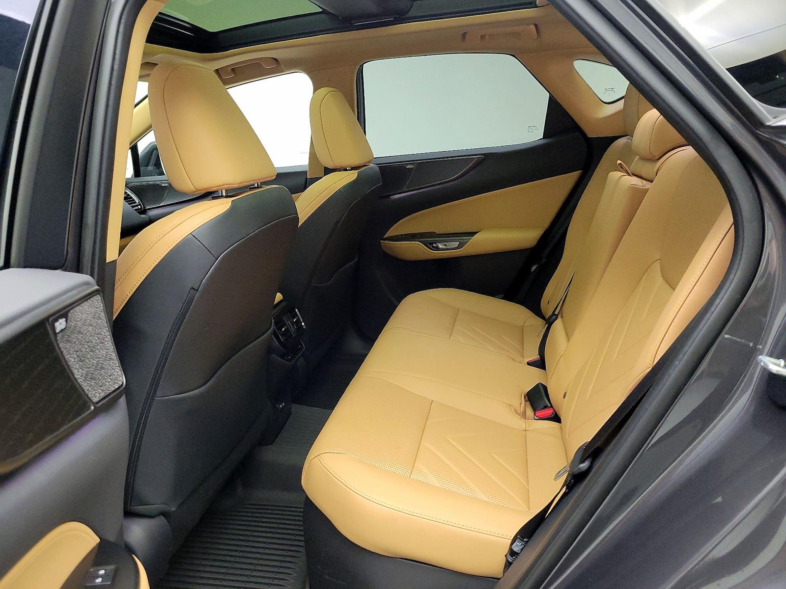 2025 Lexus NX Hybrid 350h - Photo 22