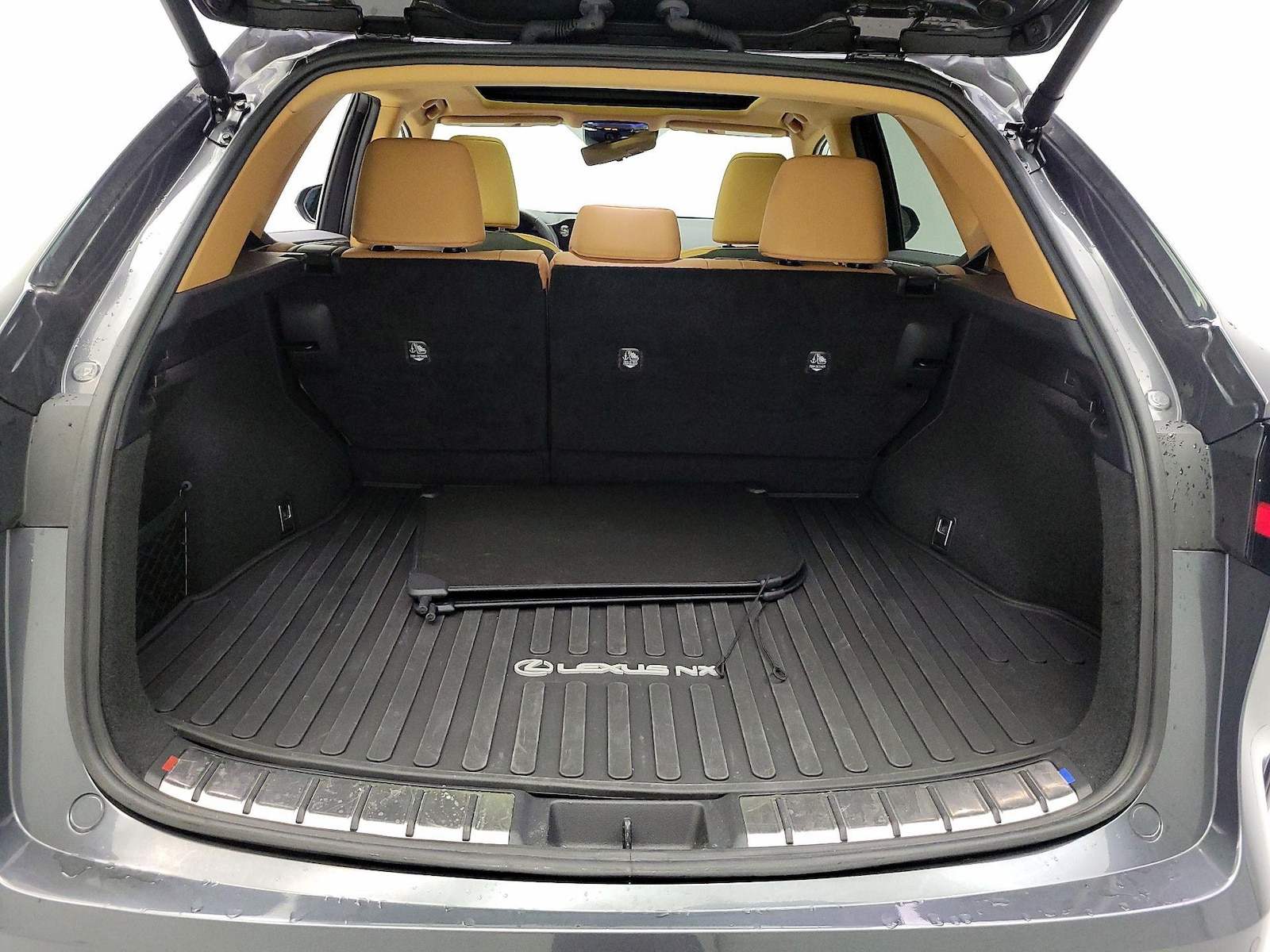 2025 Lexus NX Hybrid 350h - Photo 23