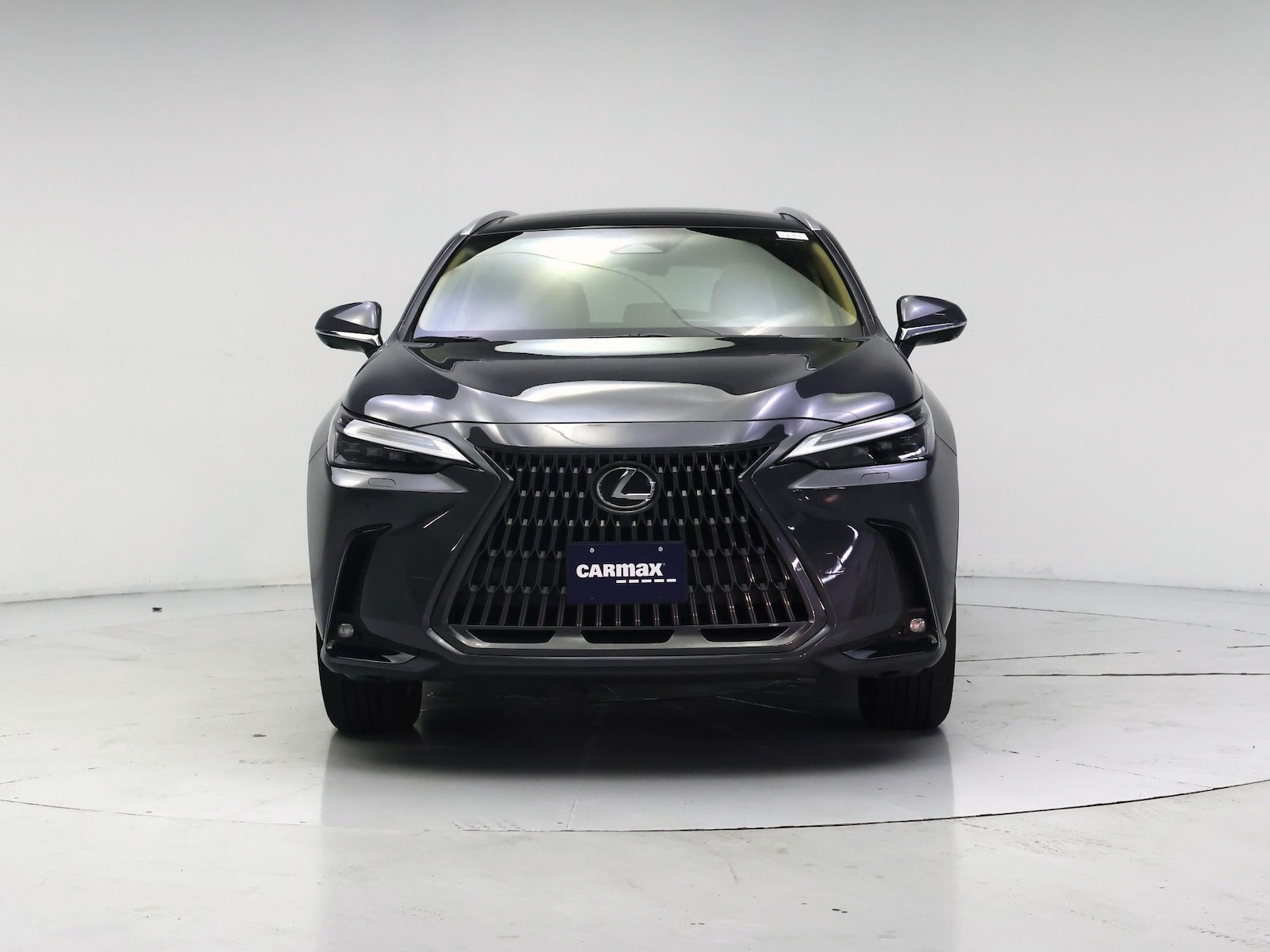 2025 Lexus NX Hybrid 350h - Photo 6