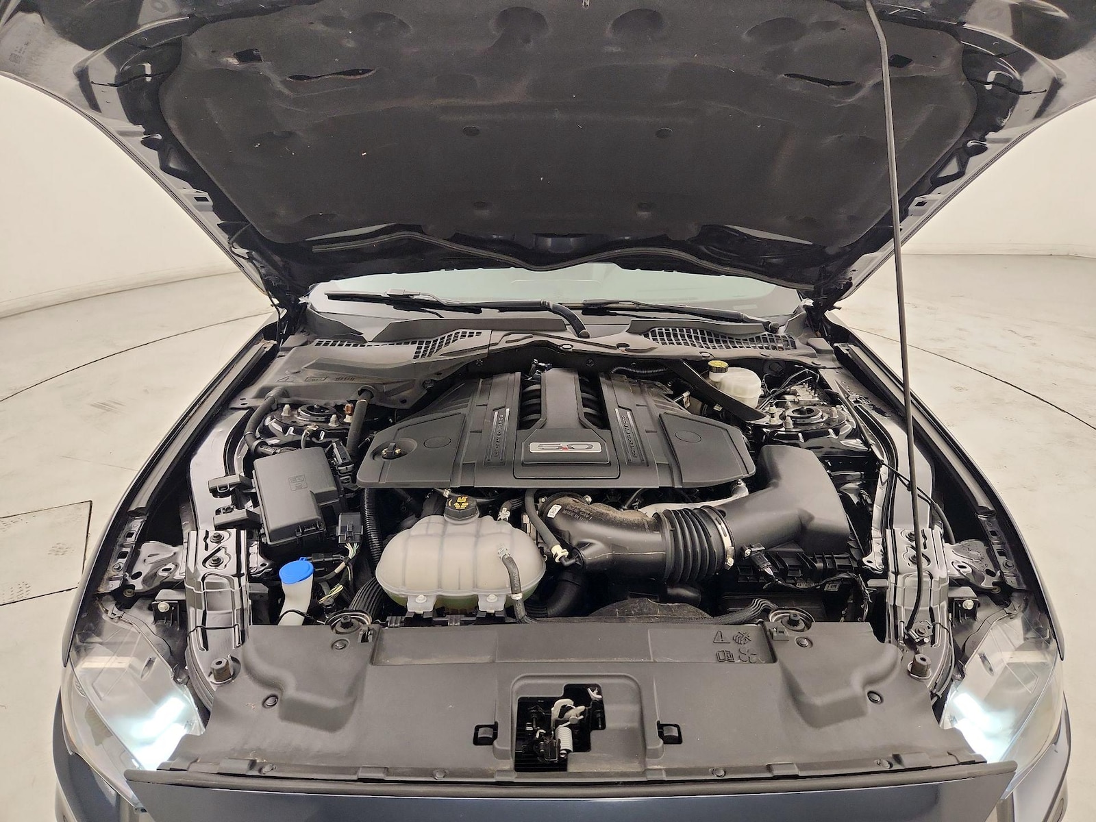 2021 Ford Mustang GT Premium - Photo 23