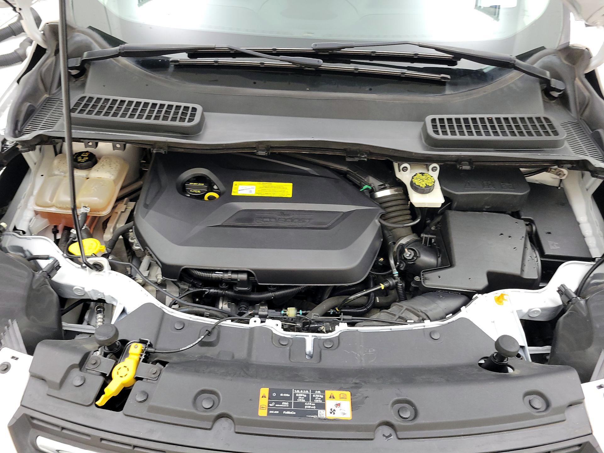 Thumbnail: 2016 Ford Escape - 20