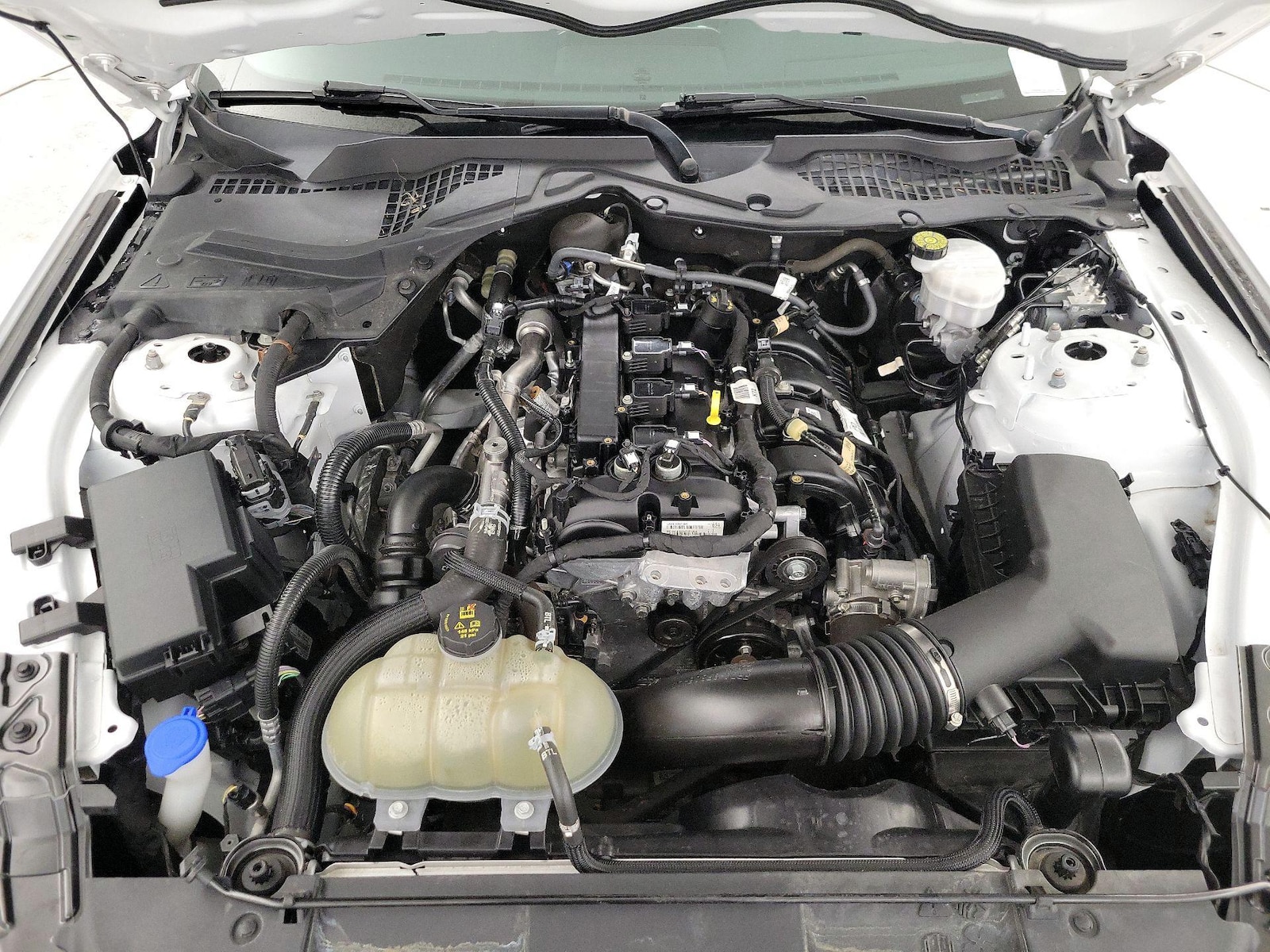 2023 Ford Mustang EcoBoost - Photo 20