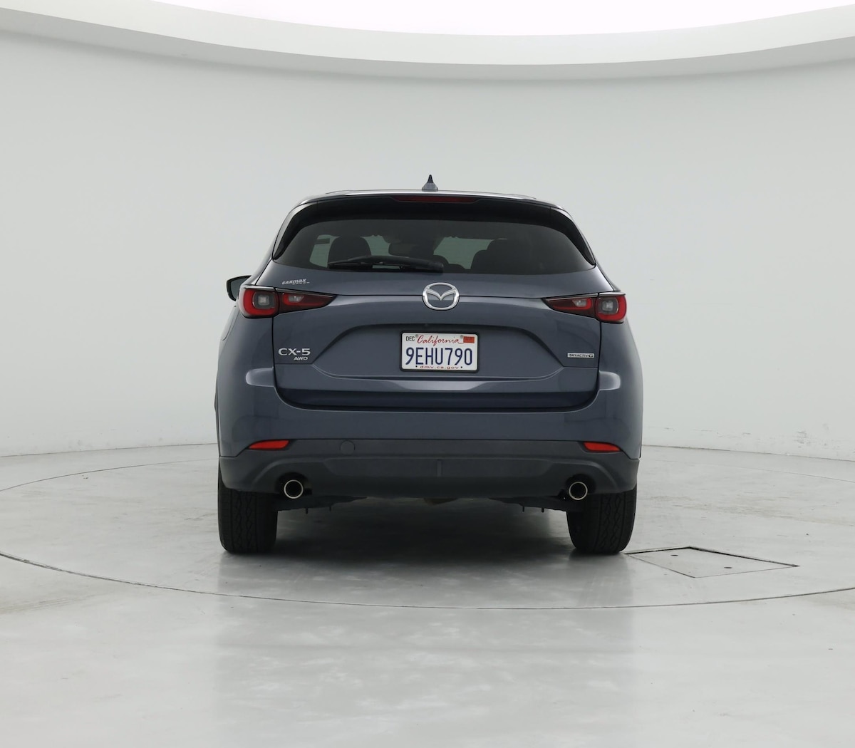 Rear