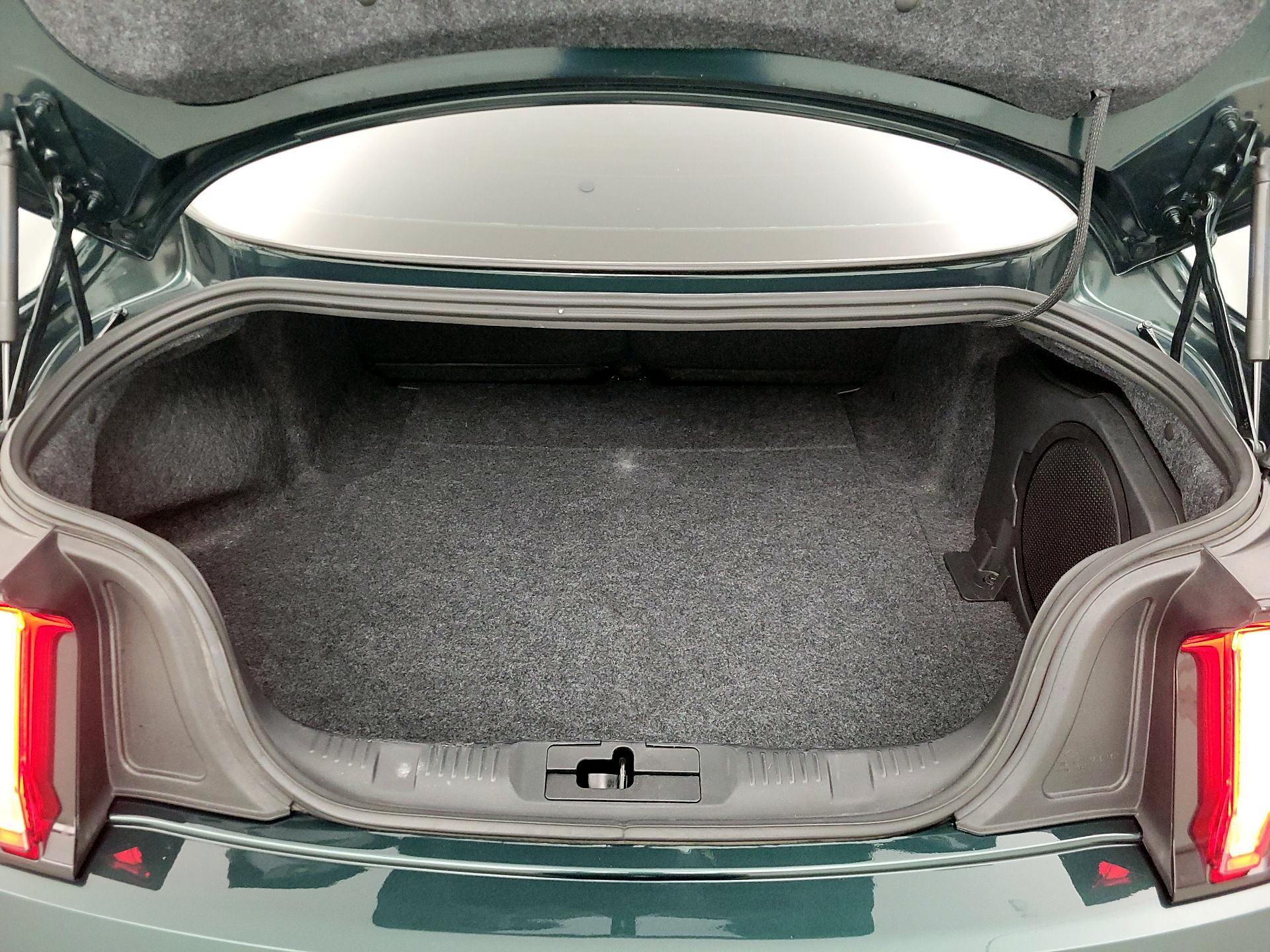 Thumbnail: 2019 Ford Mustang - 20