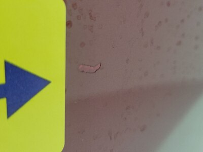 Condition detail