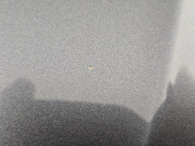 Condition detail