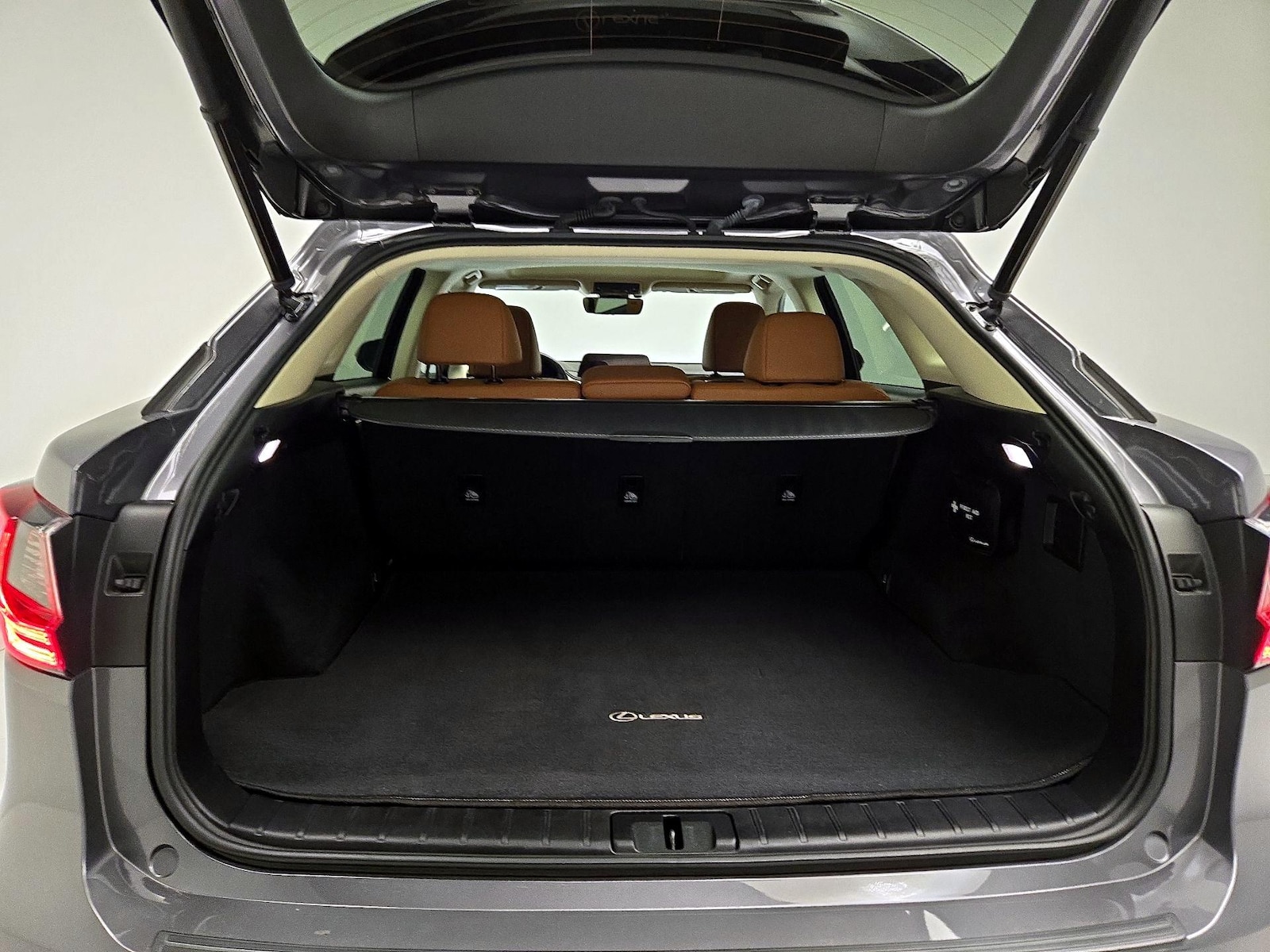 2021 Lexus RX 350 - Photo 22