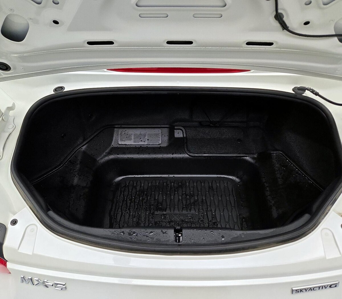 Trunk/Cargo (Seats Up)