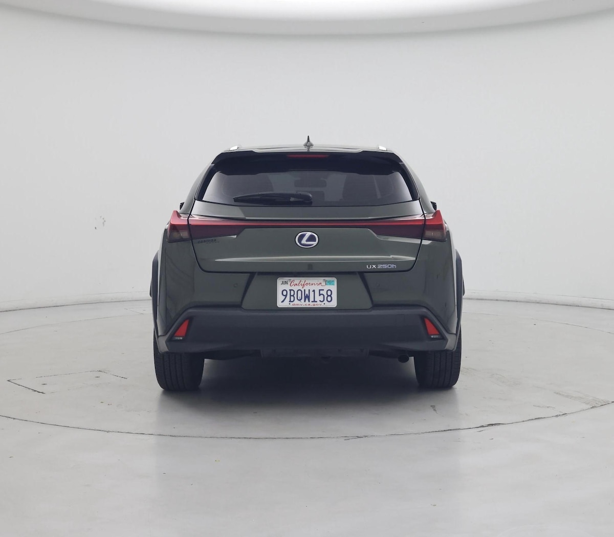Rear