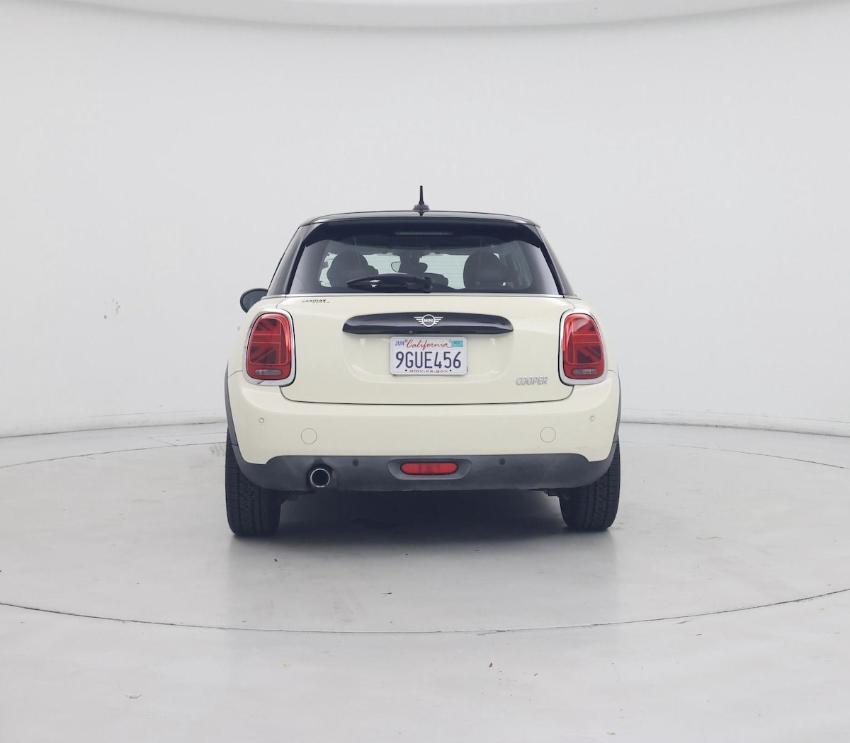 Rear