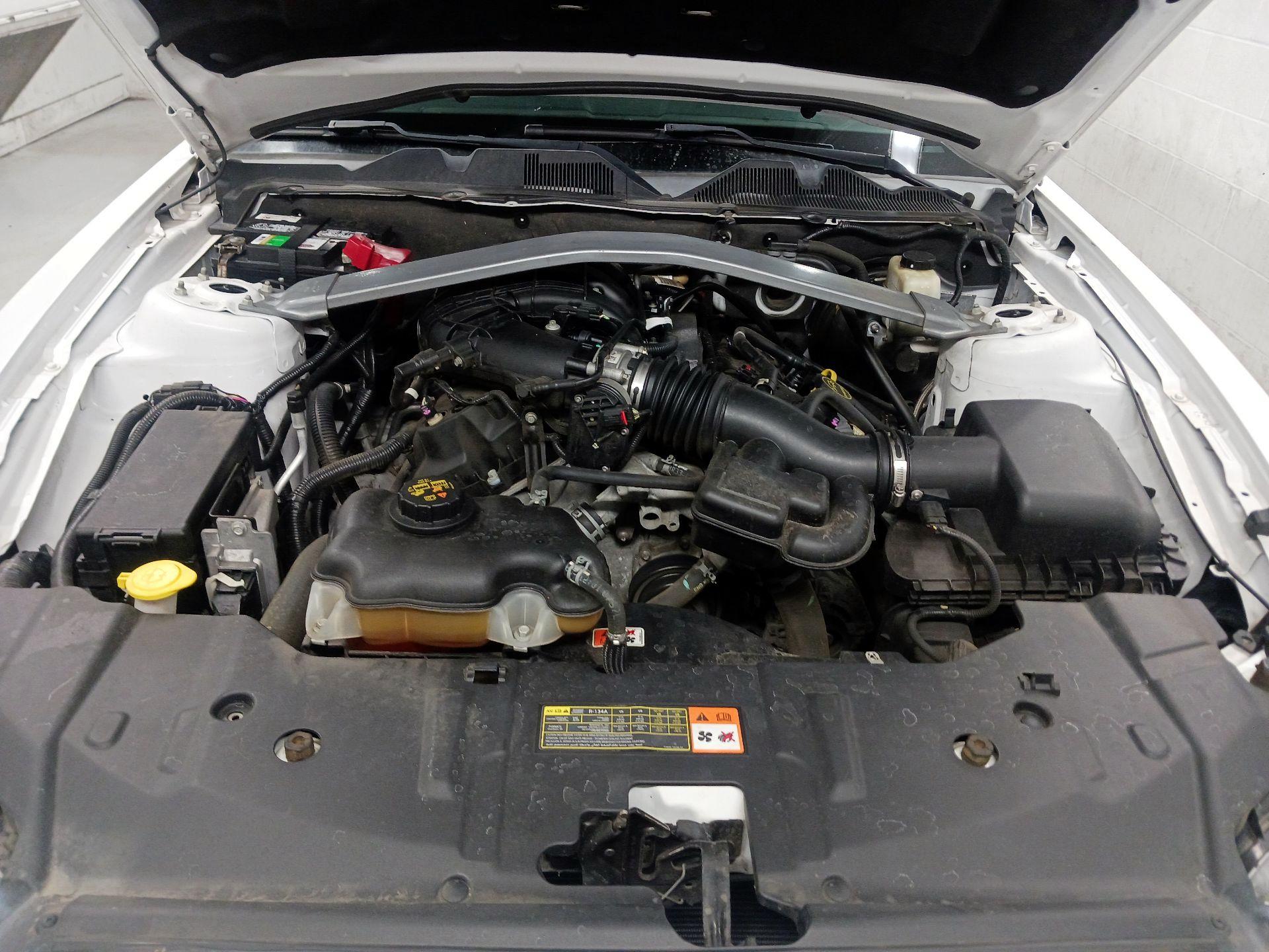 Thumbnail: 2014 Ford Mustang - 18