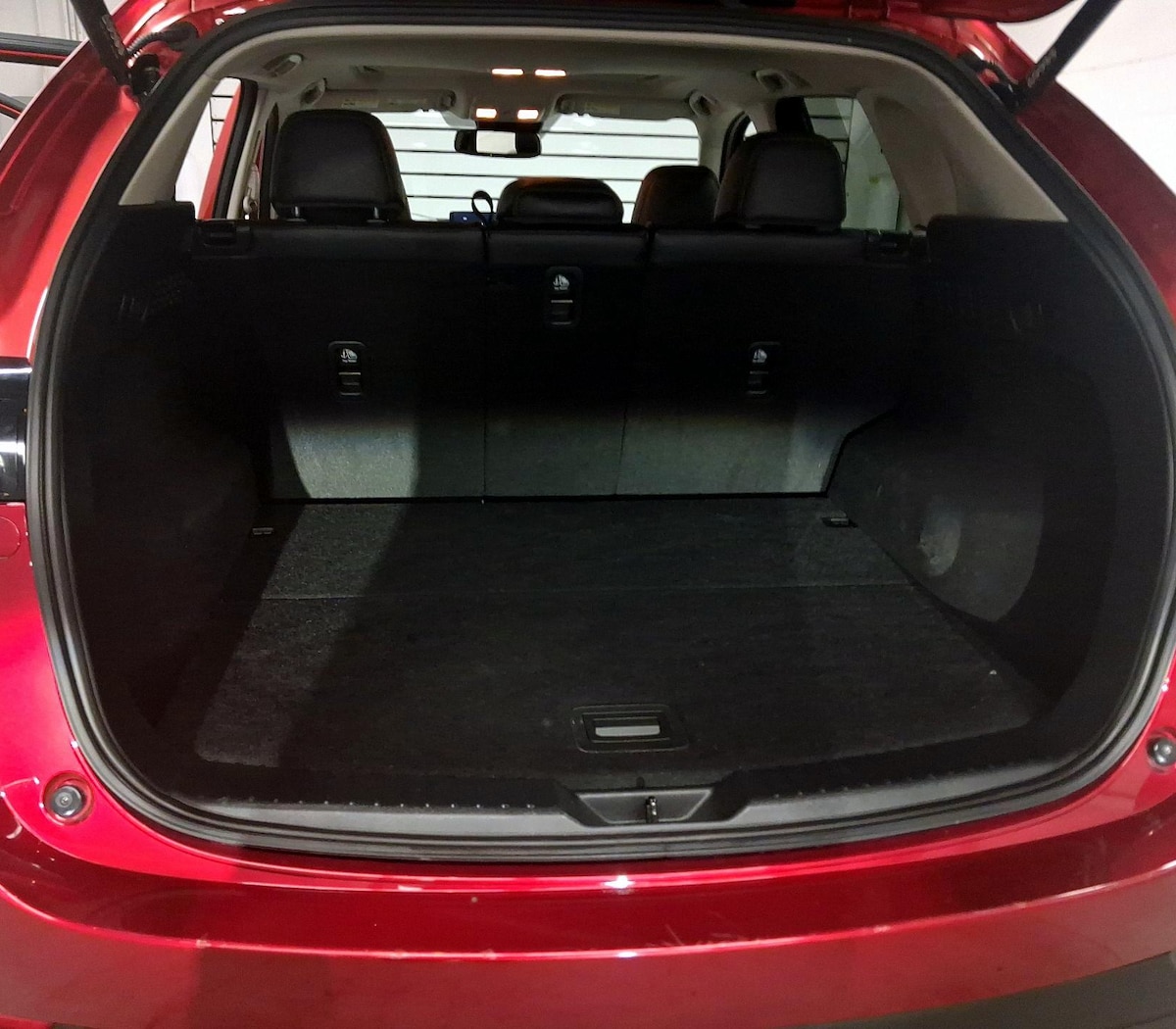 Trunk/Cargo (Seats Up)
