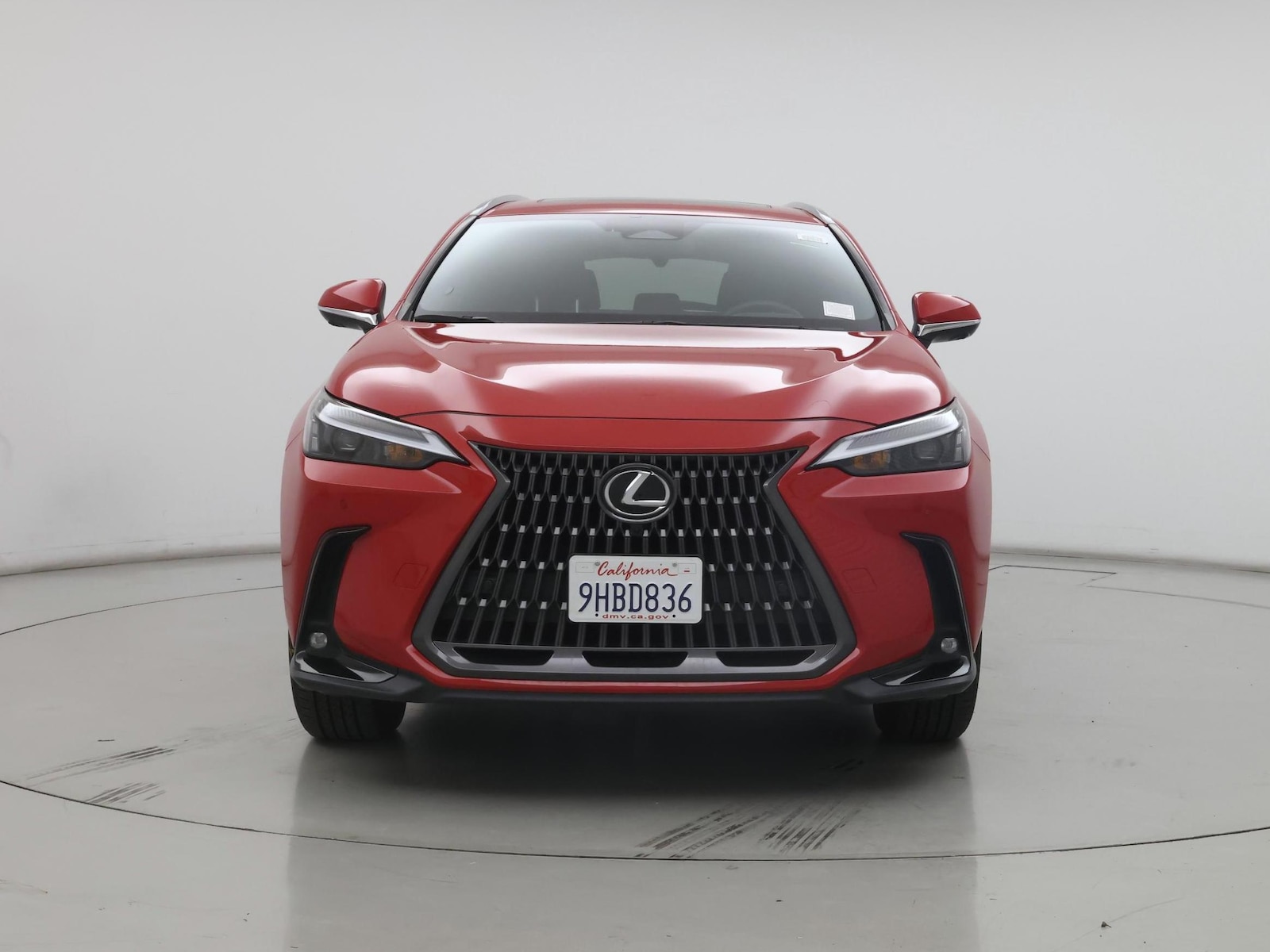 2024 Lexus NX 350 - Photo 6