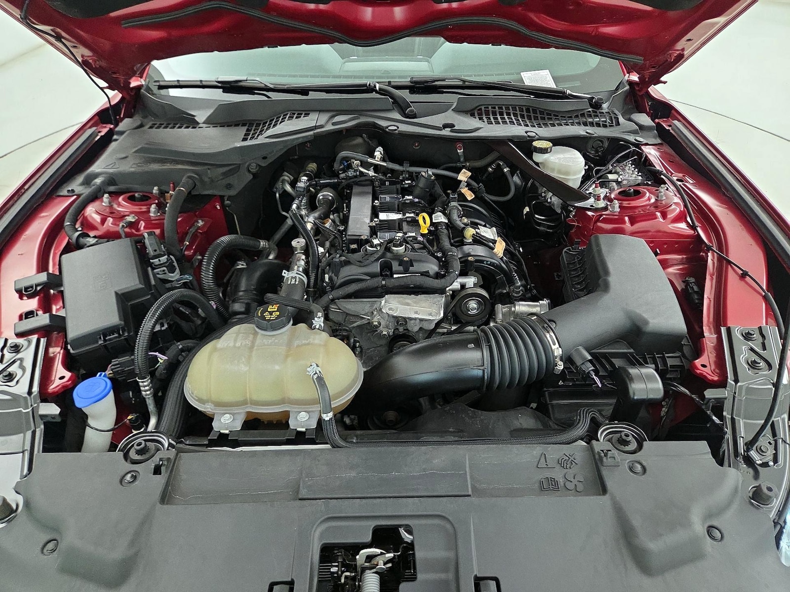 2022 Ford Mustang EcoBoost - Photo 23