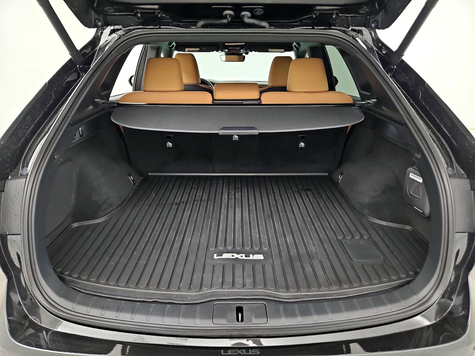 2025 Lexus RX 350 - Photo 21
