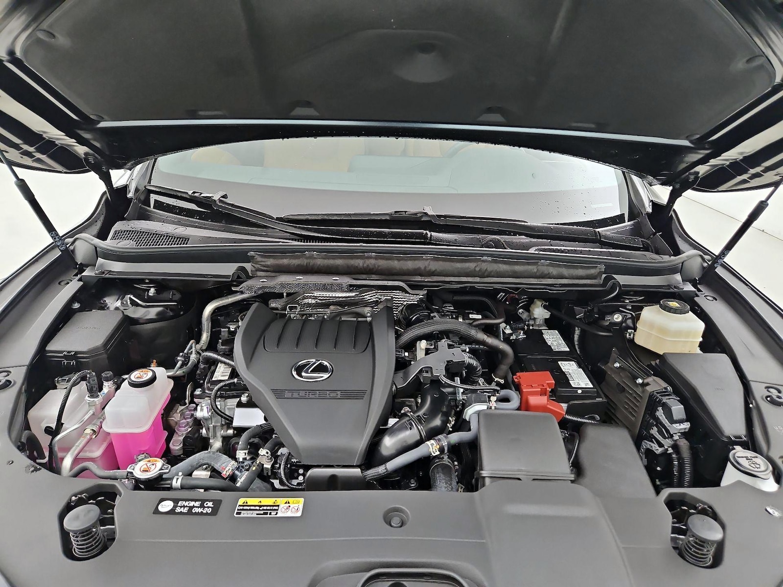 2025 Lexus RX 350 - Photo 22