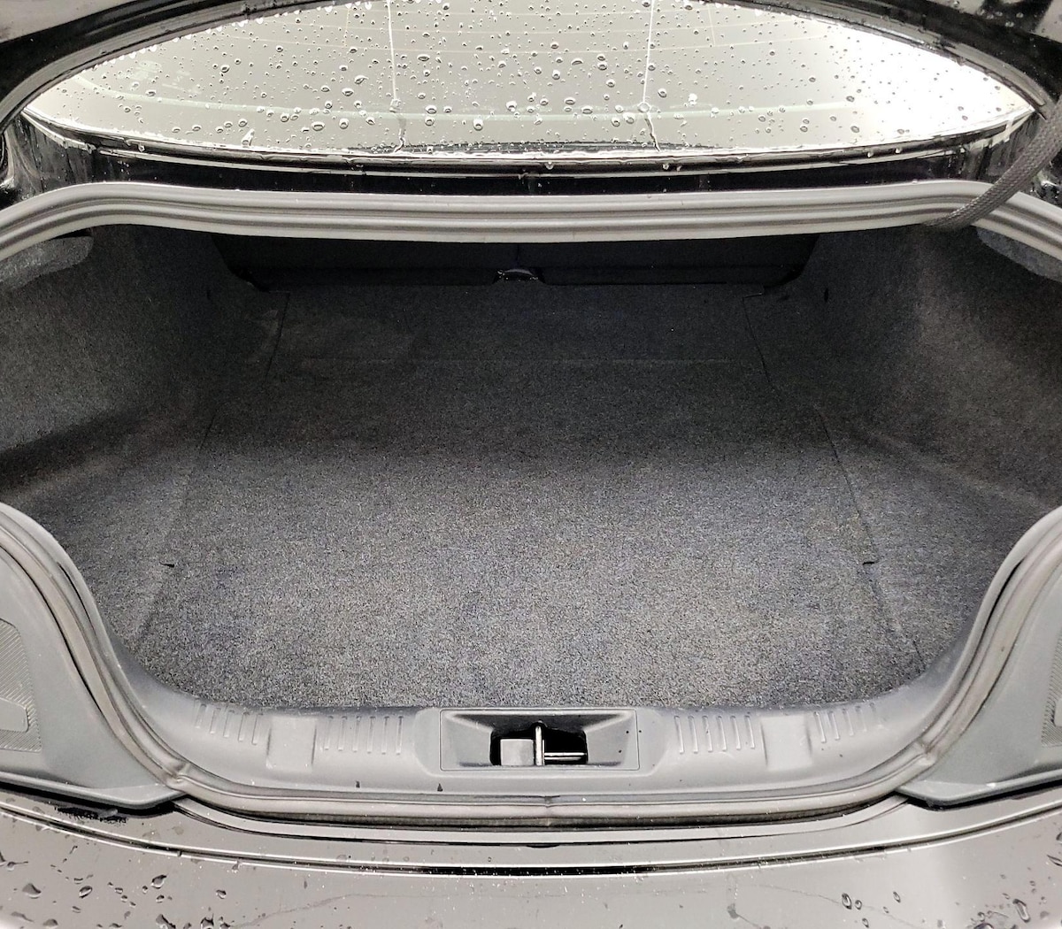 Trunk/Cargo (Seats Up)